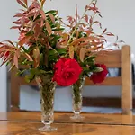 Apartament Panos Fisherman's *